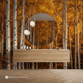 Golden Autumn Birch Forest & Amber Canopy Wall Mural